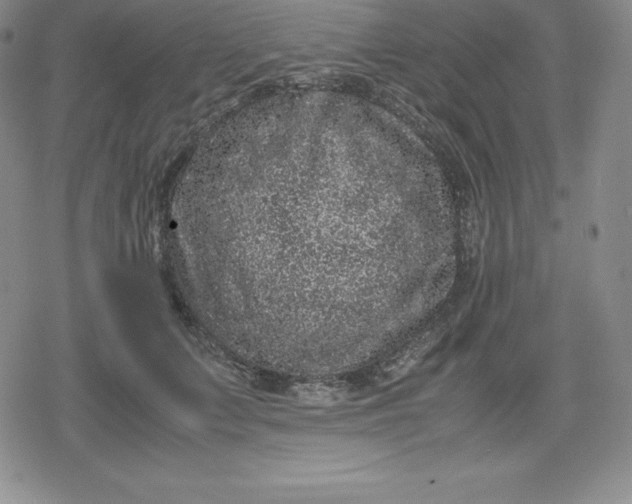 X0000080190703200612221341