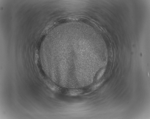 X0000080190707200612221341