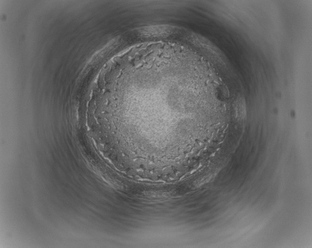 X0000080190733200612221340