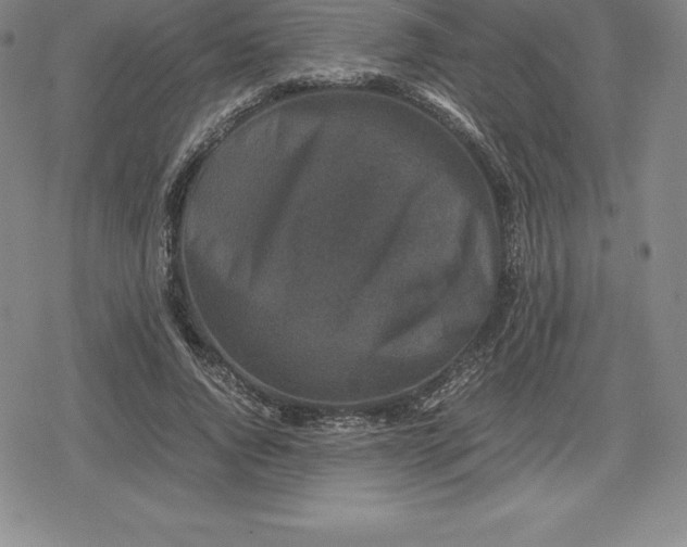 X0000080190736200612221340