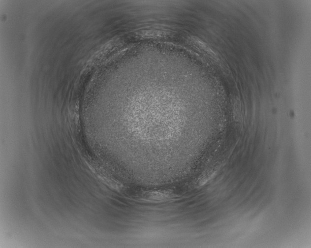X0000080190737200612221340