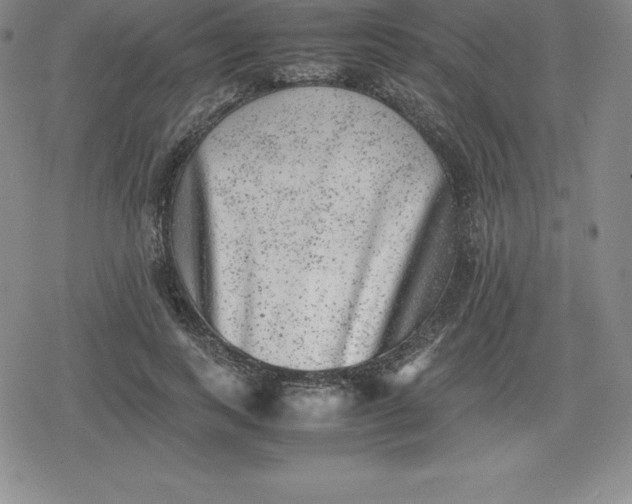 X0000080190743200612221340