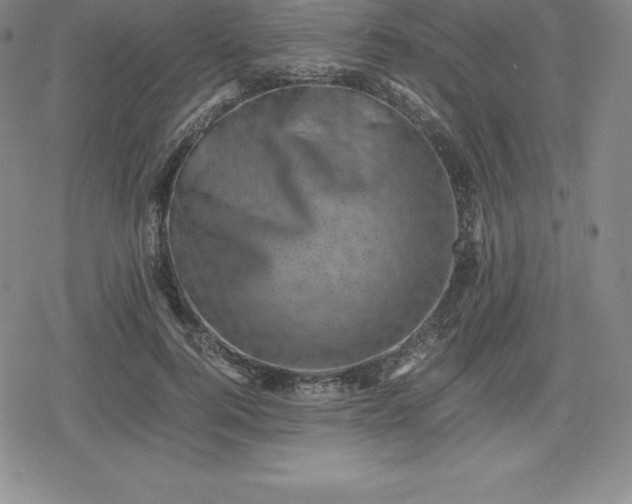 X0000080190744200612221340