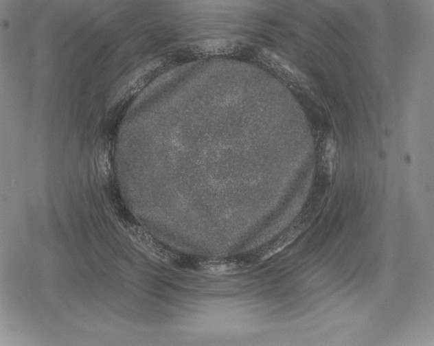 X0000080190746200612221340