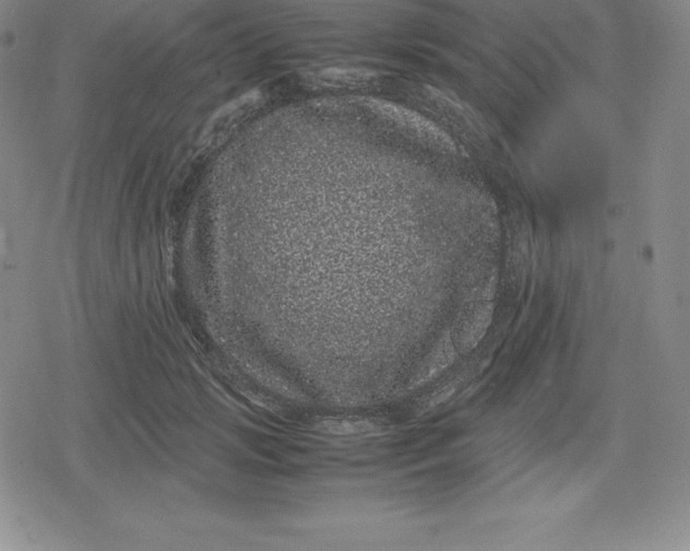 X0000080190749200612221340