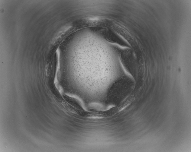 X0000080190750200612221340