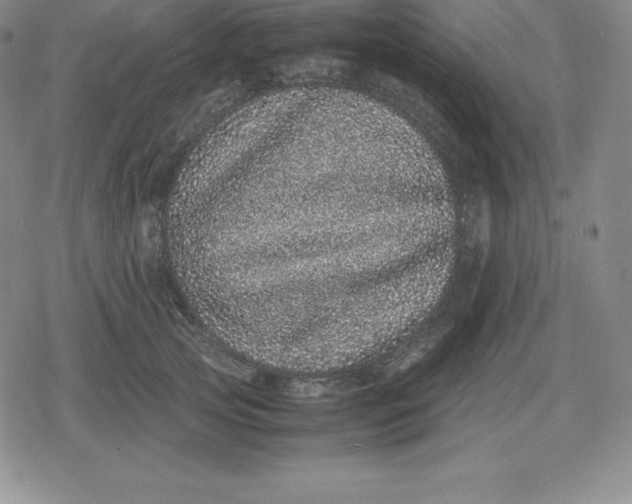 X0000080190753200612221340