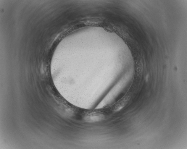 X0000080190755200612221340