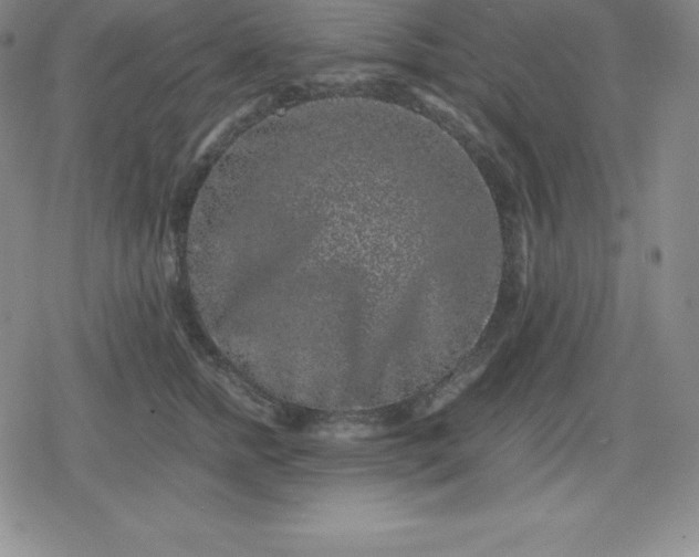 X0000080190758200612221340