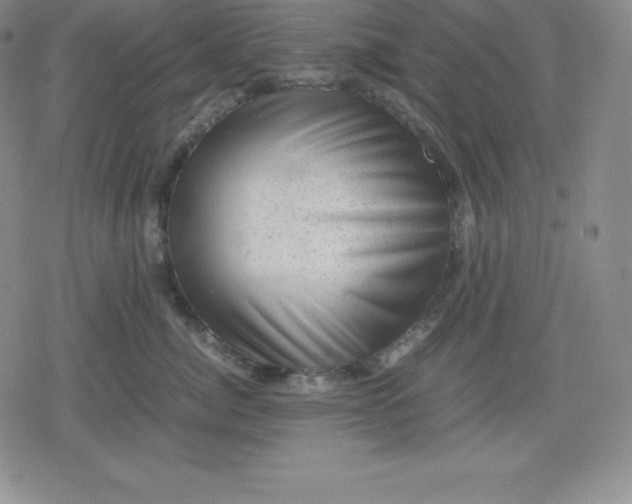 X0000080190764200612221340