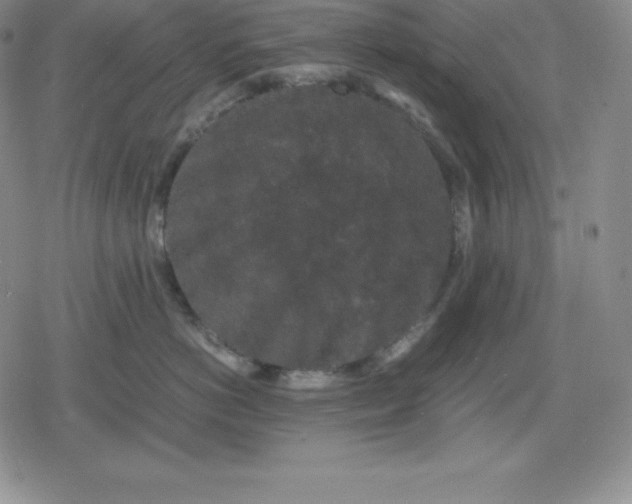 X0000080190766200612221340