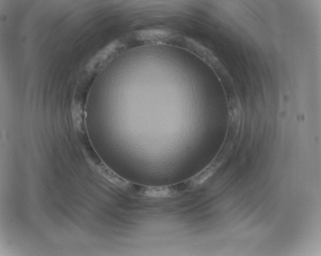 X0000080190767200612221340
