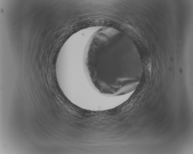 X0000080190769200612221340