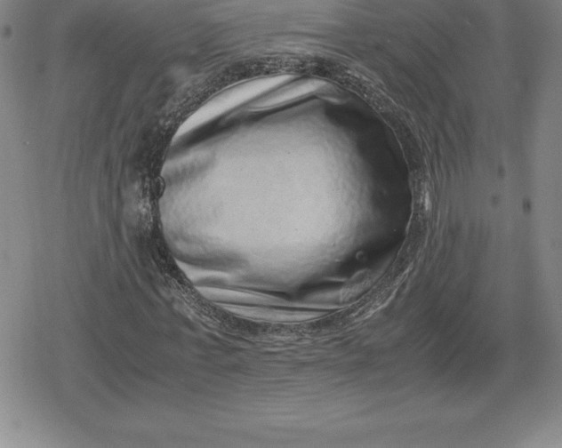 X0000080190771200612221340