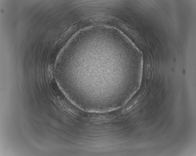X0000080190772200612221340