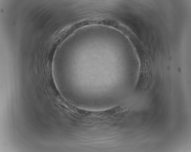 X0000080190773200612221340