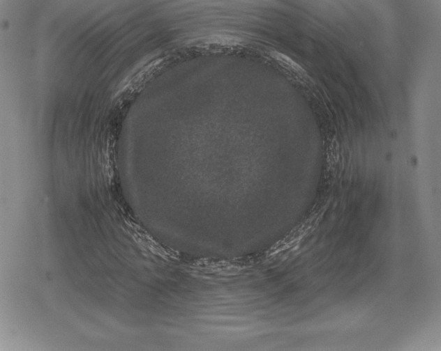X0000080190774200612221340