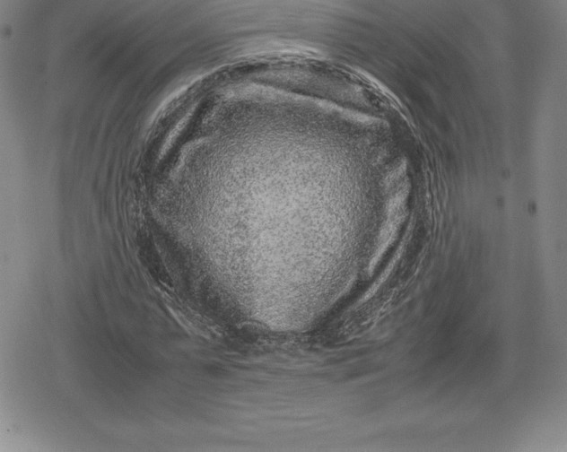 X0000080190775200612221340
