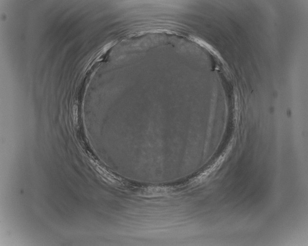 X0000080190777200612221340