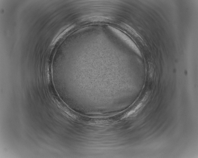 X0000080190782200612221339