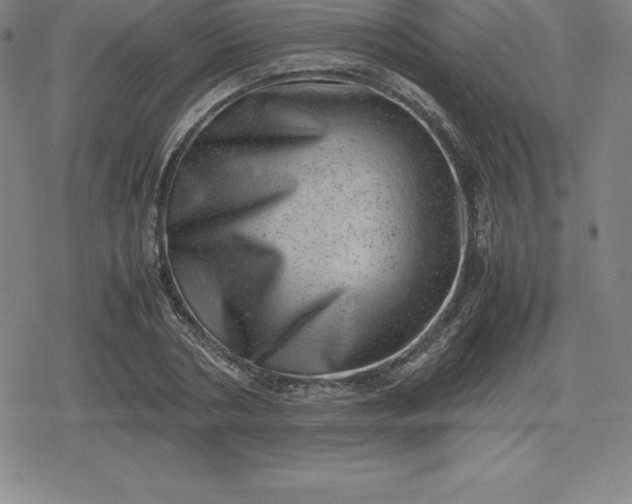 X0000080190786200612221339