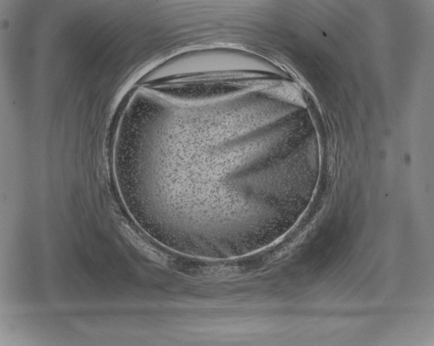 X0000080190789200612221339