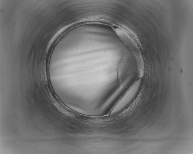 X0000080190792200612221339
