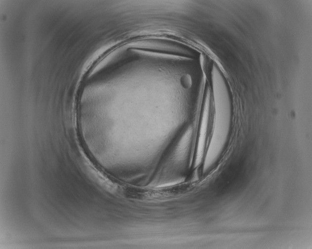 X0000080190795200612221339