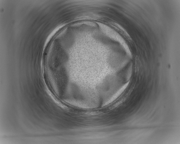 X0000080190796200612221339