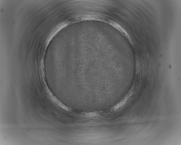 X0000080190798200612221339