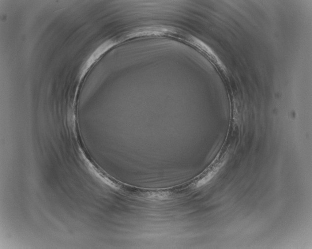 X0000080190802200612221339