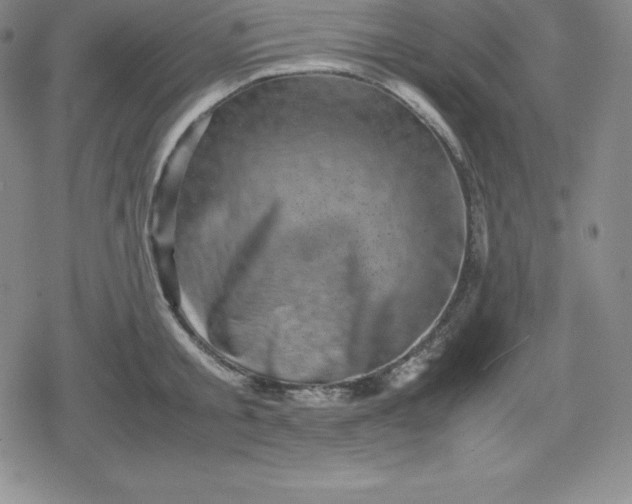 X0000080190805200612221339