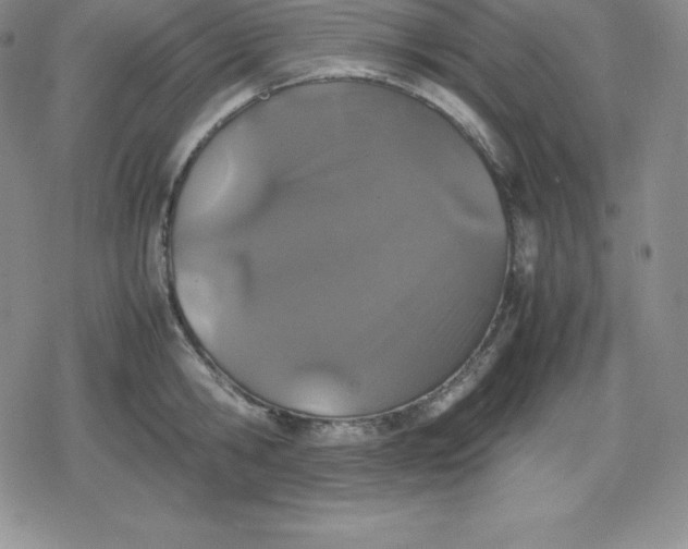 X0000080190806200612221339