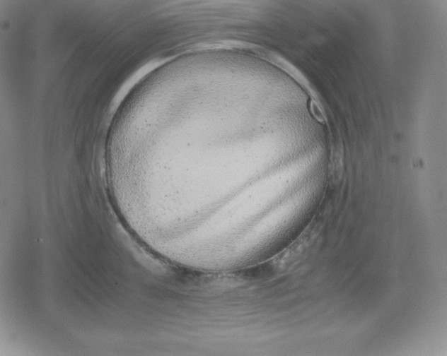 X0000080190811200612221339