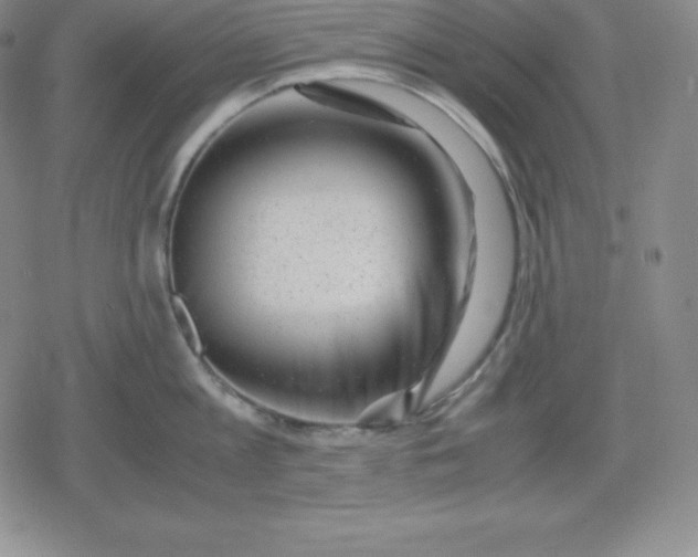 X0000080190813200612221339