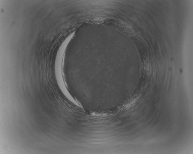 X0000080190818200612221338