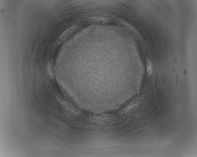 X0000080190819200612221338
