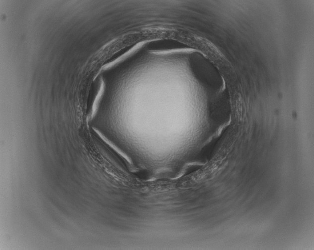 X0000080190821200612221338