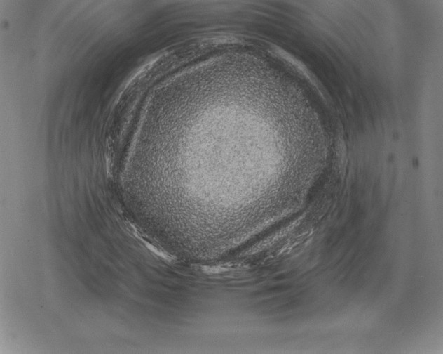 X0000080190823200612221338
