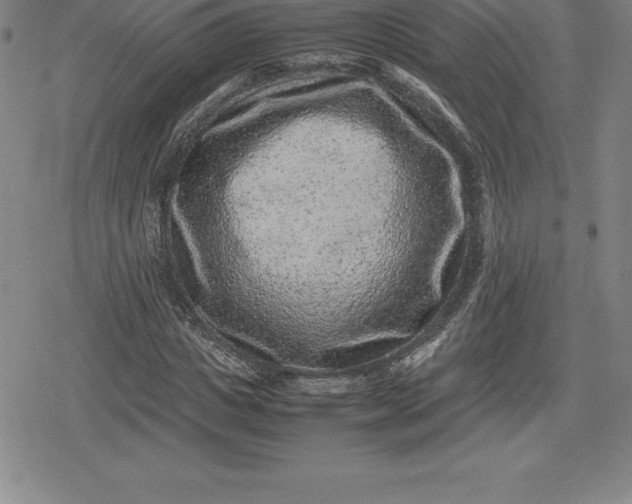 X0000080190825200612221338