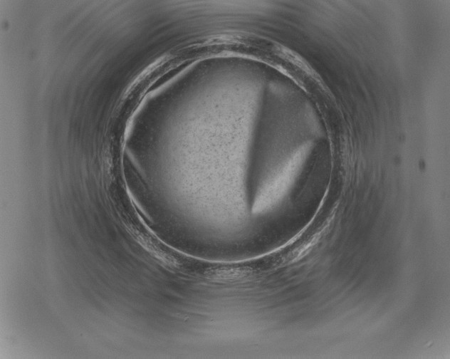 X0000080190826200612221338