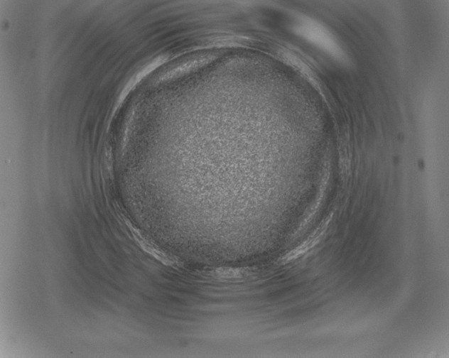 X0000080190827200612221338