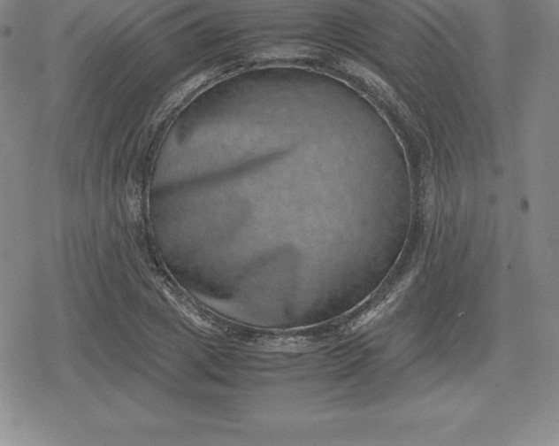 X0000080190833200612221338