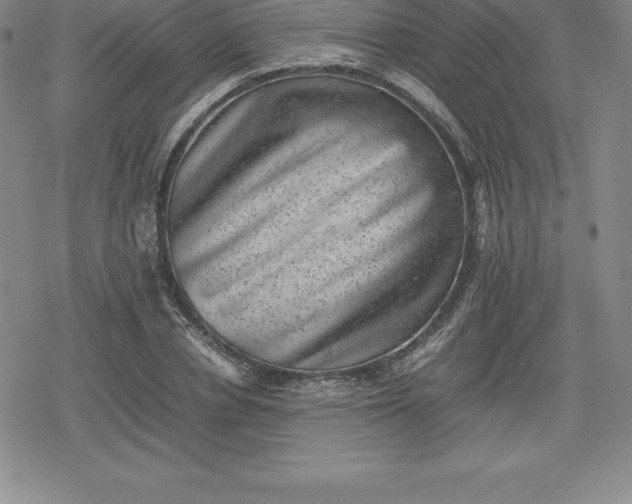 X0000080190834200612221338