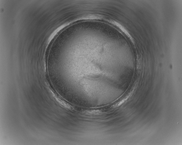 X0000080190837200612221338