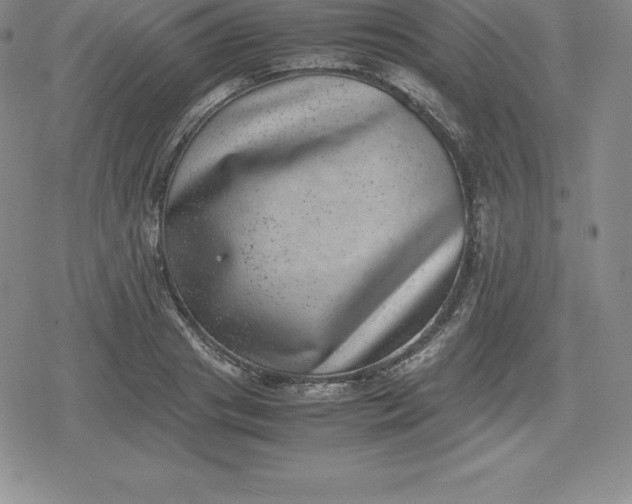 X0000080190841200612221339