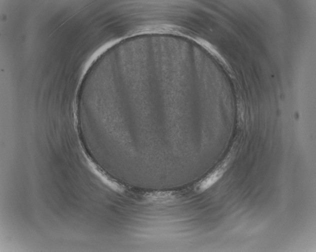 X0000080190846200612221339