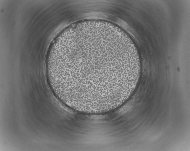 X0000080190848200612221339
