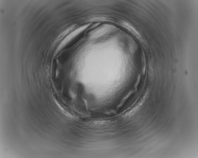 X0000080190849200612221339