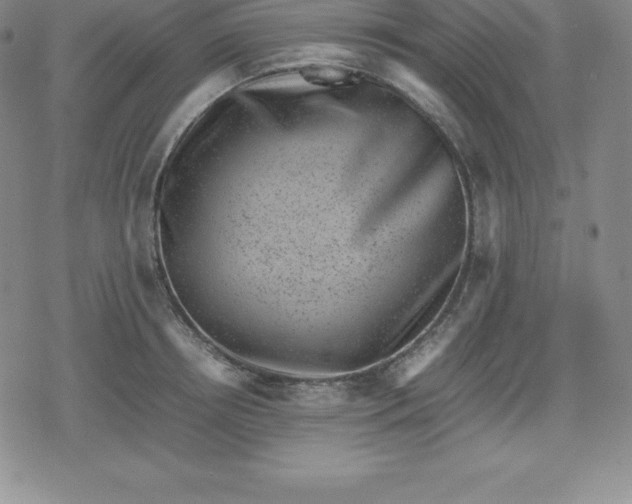 X0000080190850200612221339